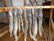 Продам Цех по производству вяленой и копченой рыбы.  